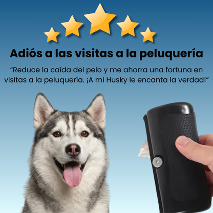 CleanPaws™ Peluqueria Profesional en Casa