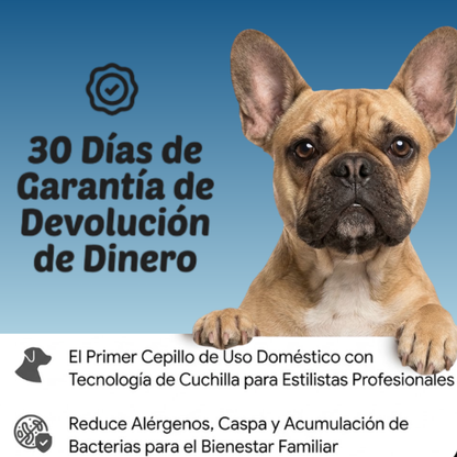 CleanPaws™ Peluqueria Profesional en Casa