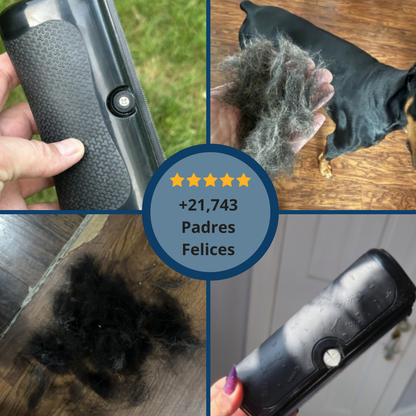 CleanPaws™ Peluqueria Profesional en Casa