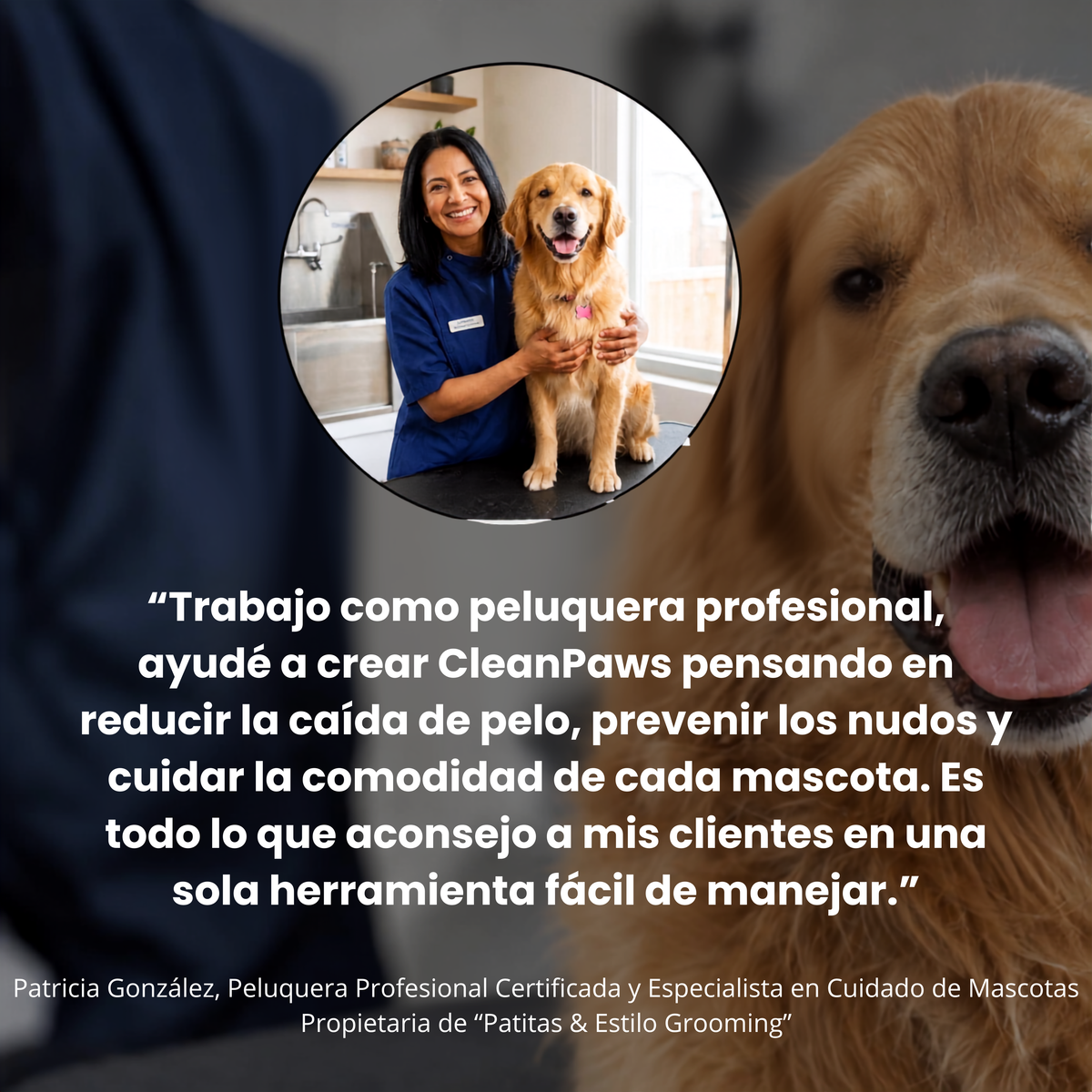 CleanPaws™ Peluqueria Profesional en Casa